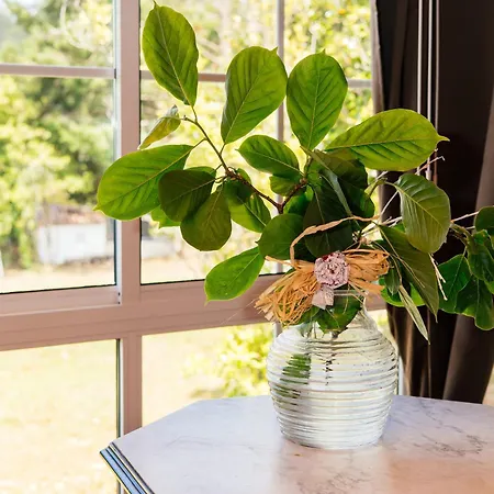 Villa Casa Grande De Cornide Santiago De Compostela