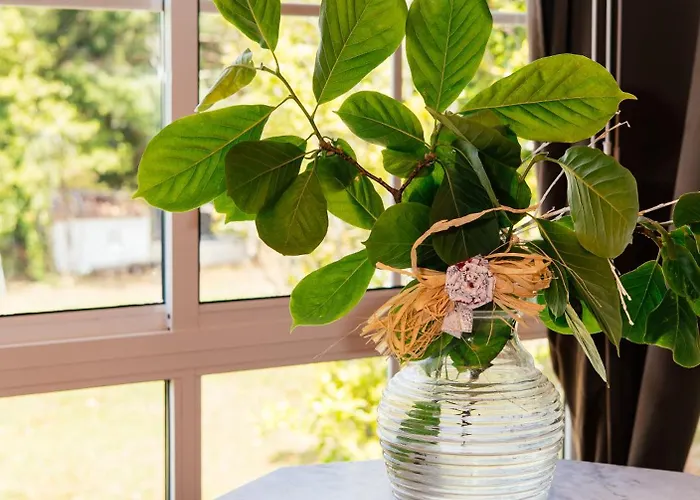 ヴィラ Casa Grande De Cornide Santiago De Compostela